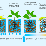 Колко да поливаме, без да губим пари? Какво е ППВ (пределна полска влагоемност) и защо е важна за напояването