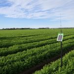 По-малко вода, повече добив – да, възможно е!