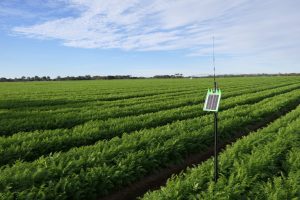 По-малко вода, повече добив – да, възможно е!